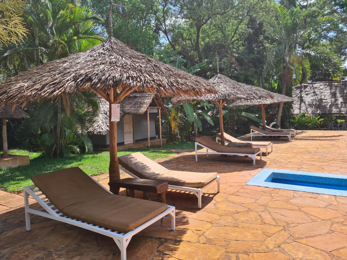 Honey Badger Lodge Moshi Esterno foto