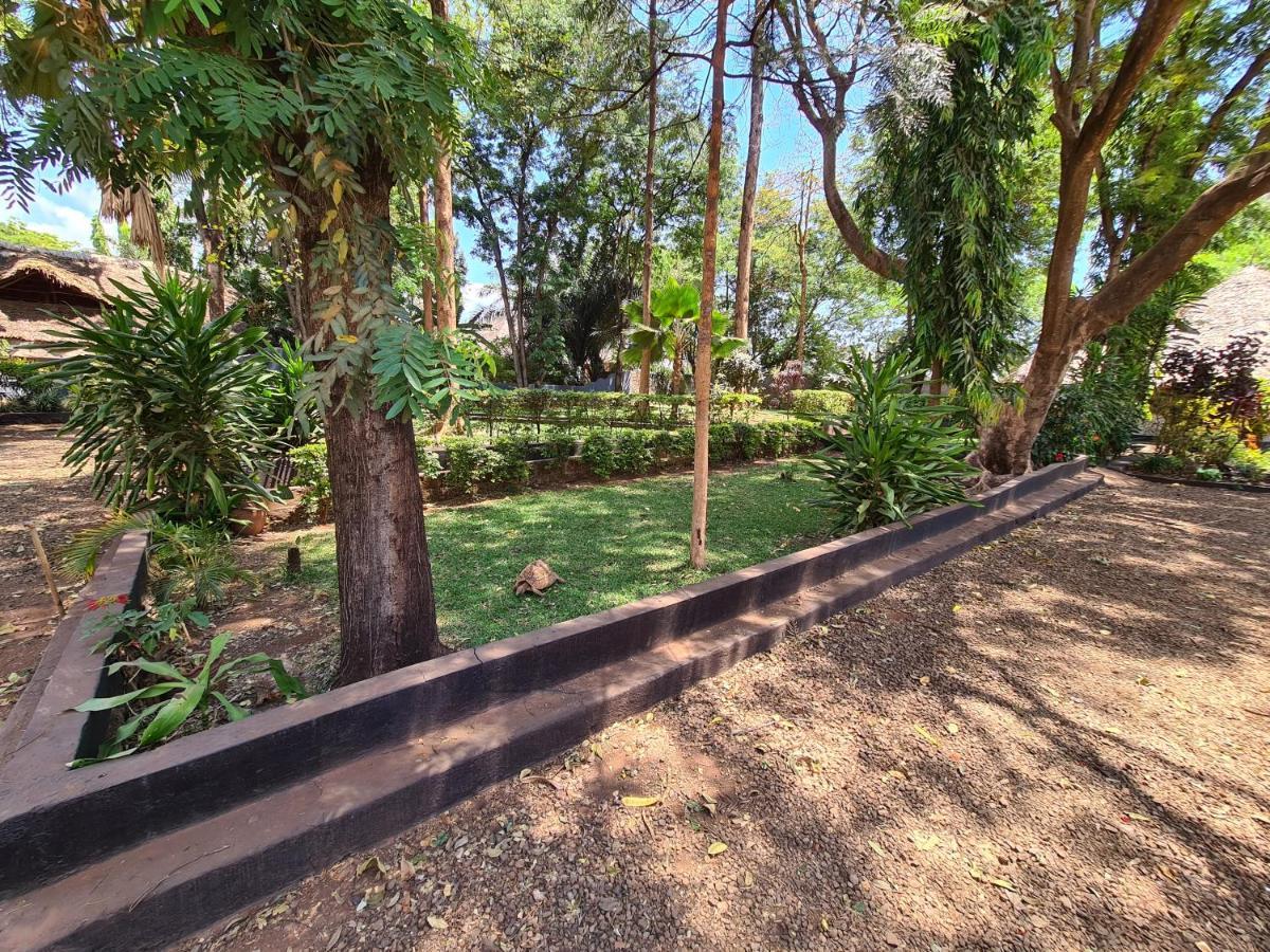 Honey Badger Lodge Moshi Esterno foto
