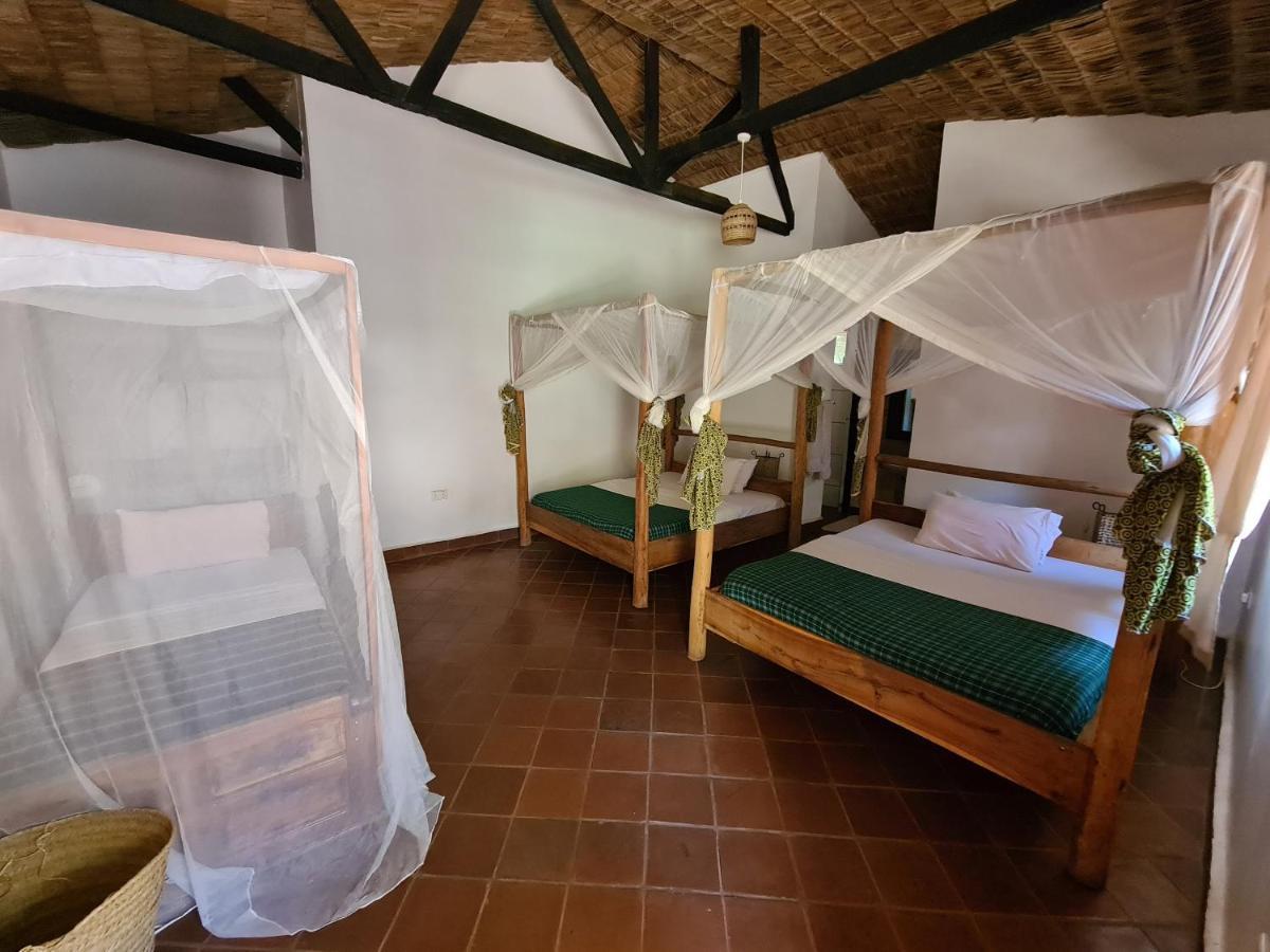 Honey Badger Lodge Moshi Esterno foto