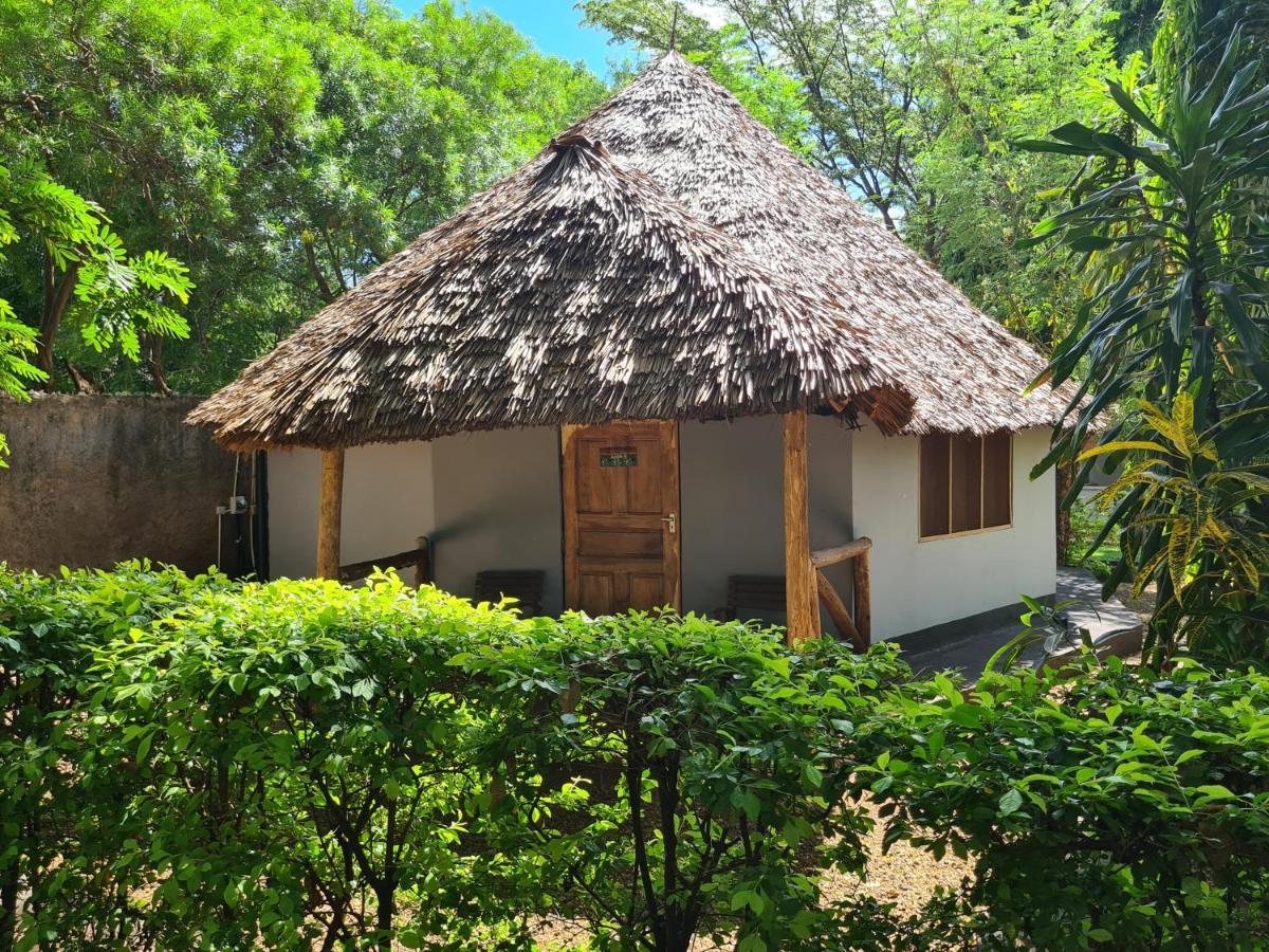Honey Badger Lodge Moshi Esterno foto