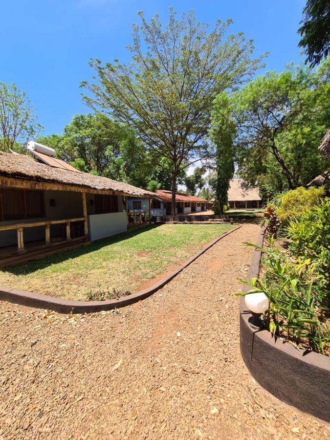 Honey Badger Lodge Moshi Esterno foto