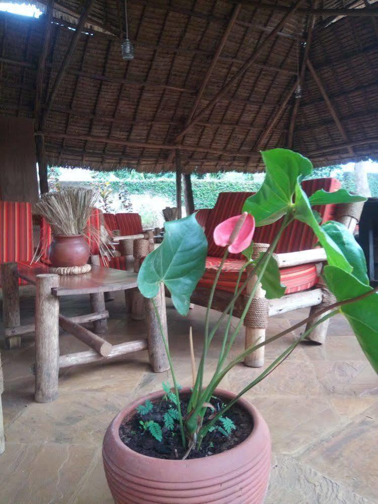 Honey Badger Lodge Moshi Esterno foto