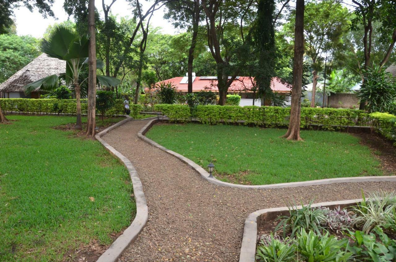 Honey Badger Lodge Moshi Esterno foto