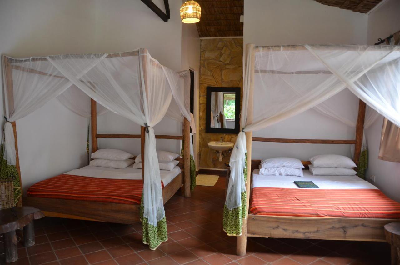 Honey Badger Lodge Moshi Esterno foto
